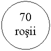 Oval: 70 rosii
